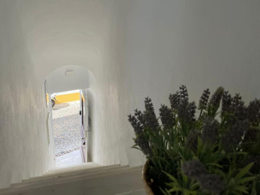 Casa Da Oliveira Lägenhet Évora Exteriör bild